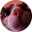 ChsherbakMaxim