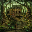 Dark8Forest