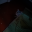 Deymonster23