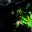 Spawn29236rus